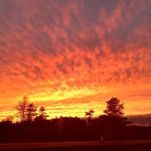 Meet your Posher, Allen